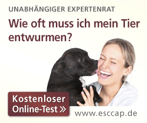 Test wie oft muss ich meinen Hund entwurmen